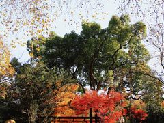 -北山街历史文化街区