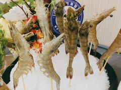 -尚海豆捞(乐虹坊店)