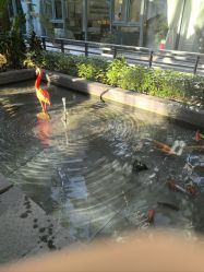 -宝生月子中心·私家园林式(龙华观澜店)