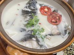 -全乐鱼馆·淳牌有机鱼直营店