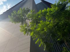 -四川大学博物馆
