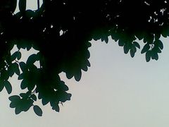 -火炉山森林公园
