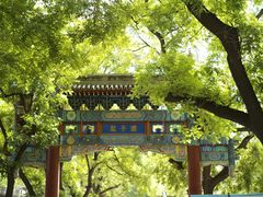 -北京国子监胡同