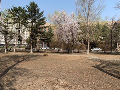 -辽宁大学(崇山校区)