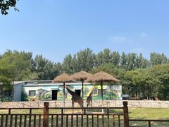 -北京野生动物园