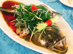 清蒸石斑鱼-御唐府海珊瑚主题餐厅