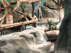 -灵玲国际马戏城