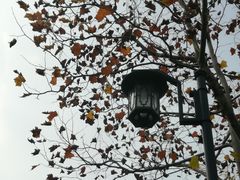 -大渡口区义渡公园