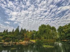 -习家池