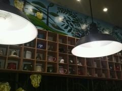 -大熊小厨(七星店)