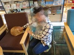 -猫的天空之城概念书店(丽江古城饮玉巷店)