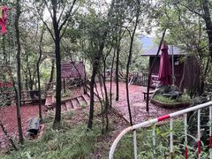 -千岛湖石林