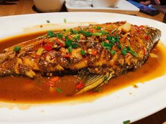-7017浙菜•建德味(中财店)