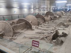 -古车博物馆