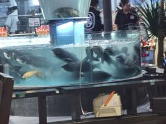 -魏铭鱼头捞饭(晋阳路店)