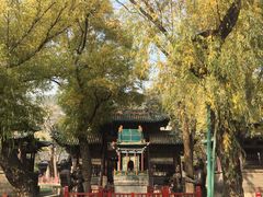 -晋祠公园