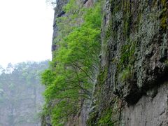 -十九峰景区