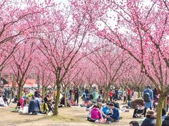 -三圣花乡旅游区
