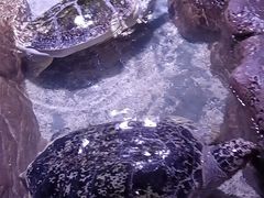 -南昌海洋公园