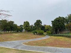 -宝安西湾红树林湿地公园