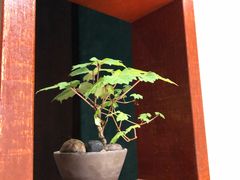 -みかわ是山居