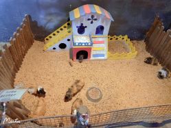 -酷嗒动物文化乐园(cutezoo西溪乐天城店)