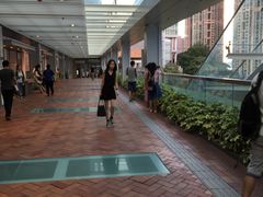 -香港大学