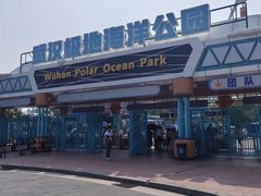 -海合安武汉极地海洋公园