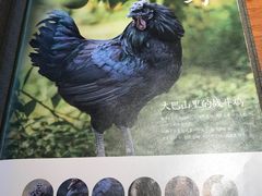 -黑鸡小馆(金源店)