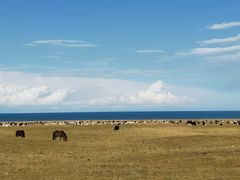 -青海湖国家重点风景名胜区