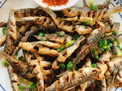 干炸墨线鱼-高坎一品甲鱼庄(两河店)
