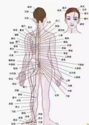 -香薇妮丝·定制减肥·身材管理