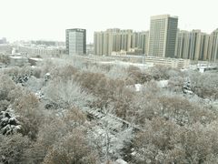 -陕西师范大学(雁塔校区)