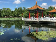 -长春市南湖公园