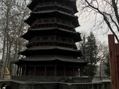 -北京世界公园
