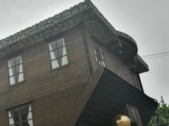 -金山农民画村-枫泾波兰倒置屋