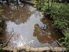 -白马涧龙池景区