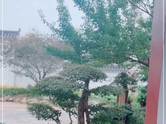 -东湖落雁景区
