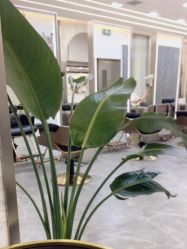 -MT·ID 烫发.染发.接发SALON