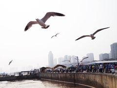 -星海广场