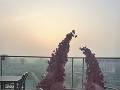 -烛影拾光观景餐厅·创意菜·摄影·小提琴(大唐不夜城店)