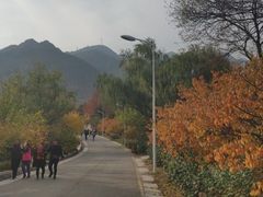 -北京鹫峰国家森林公园