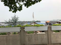 -白洋淀景区