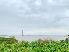 -上海吴淞炮台湾国家湿地公园