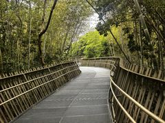 -福道