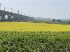 -光明小镇欢乐田园