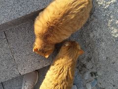 -北京凤凰岭