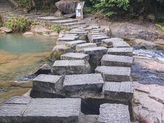 -广州白江湖森林公园