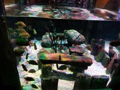 -沈阳海洋探索中心