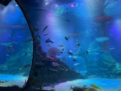 -沈阳海洋探索中心